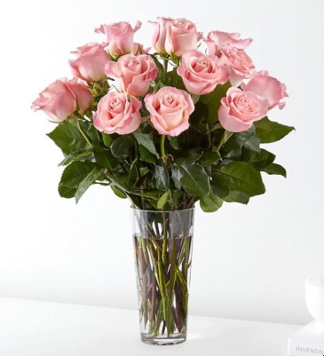 12 Pink Roses  in Frederick, MD | Maryland Florals