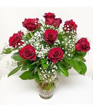 12 Premium Red Roses 