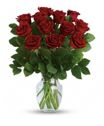 12 Red Rose Vase Special Red Rose Arrangement in Edmonton, AB | PETALS ON THE TRAIL