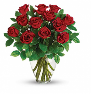 1 Dozen Red Roses Arrangement