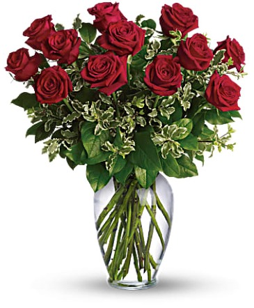 12 RED ROSES FLOWER ARRANGEMENT in Hampstead, NC | Surf City Florist