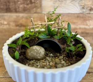 12" Resurrection Garden 