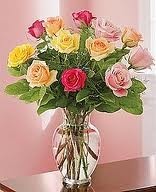 12 Roses, Mixed Color, Special! Gainesville, FL  ONLY!!!   Florist Choice of Colors. in Gainesville, FL | PRANGE'S FLORIST- Sara & Lilli V