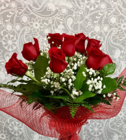 12 Red Roses  No Vase