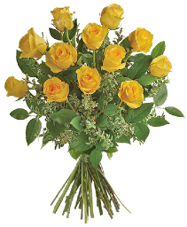 12 Yellow roses wrapped  