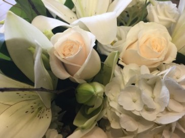 125 White handtied bouquet wrapped in cellophane - not arranged in a vase  in Etobicoke, ON | THE POTTY PLANTER FLORIST