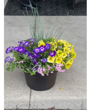 13" Annual Patio Pot (Limited Quantities)  