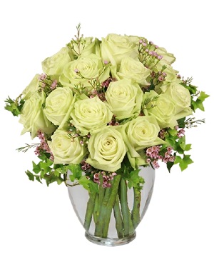 Remarkable Roses Arrangement