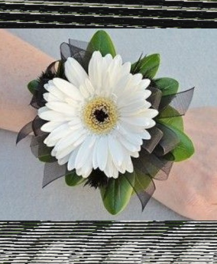 #14 Gerbera Daisy Corsage Fresh Flowers
