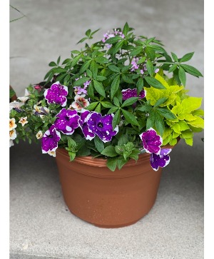 14" Patio annual pot (Limited Quantities)  