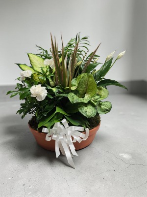 14" Terra Cotta Saucer with Flowers 