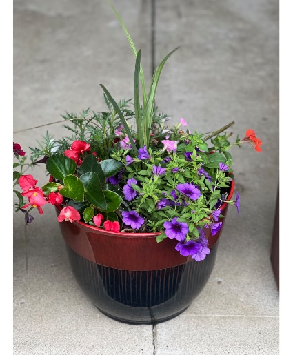 15" Annual Patio Pot (Limited Quantities) 