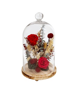 15" Red Rose Cloche Preserved Botanicals