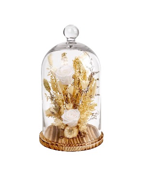15" White Rose Cloche Preserved Botanicals