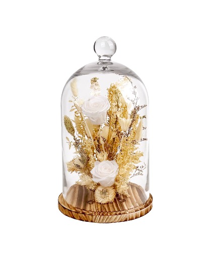 15" White Rose Cloche Preserved Botanicals
