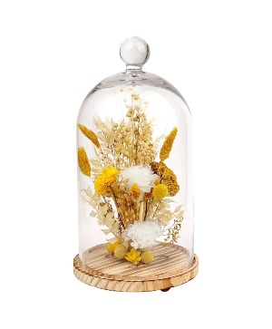 15" White Carnation Cloche Preserved Botanicals