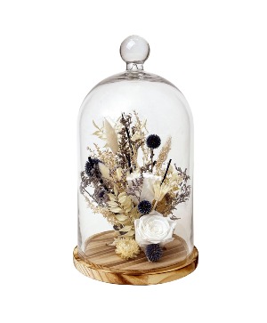 15" White Rose & Echinops Cloche Preserved Botanicals