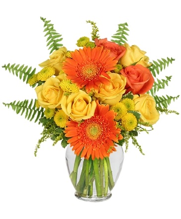 Citrus Zest Bouquet in Philadelphia, PA | QA Test Account