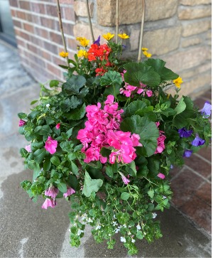 16" AWESOME COMBO MIX OUTDOOR PLANT
