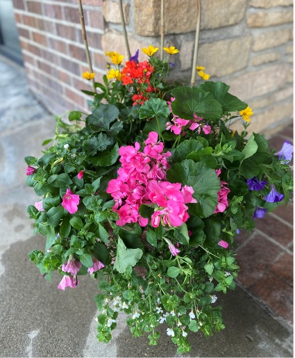 16" AWESOME COMBO MIX OUTDOOR PLANT