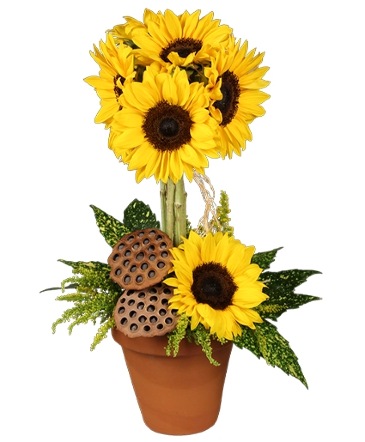 Pot O' Sunflowers Topiary Arrangement in Forest Hills, NY | FOREST HILLS LILIES OF THE VALLEY