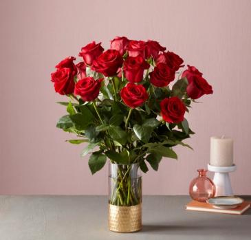 24 Classic Roses  in Frederick, MD | Maryland Florals