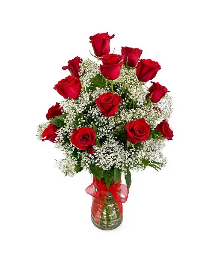 18 Red Roses Roses