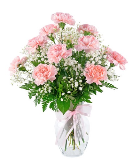 1Dz Carnation Arrangement 
