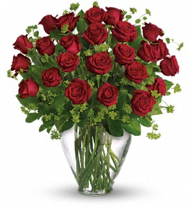  24 or 36 red roses  