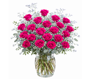 Two Dozen Hot Pink Roses 
