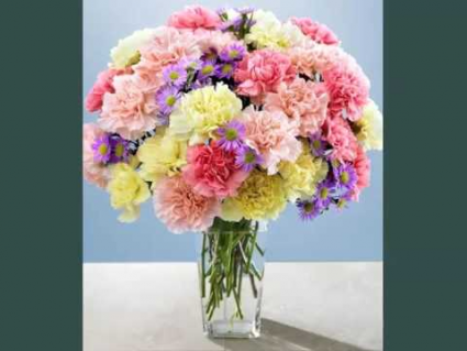 2 Dozen Mixed Carnations 