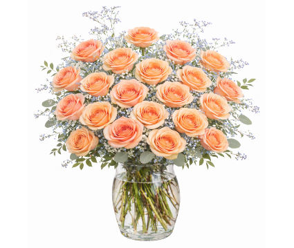 2 Dozen Peach Roses 
