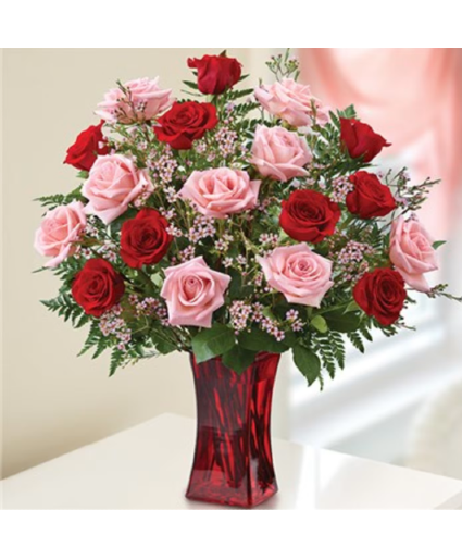 2 Dozen Pink and Red Roses 