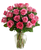2 Dozen Pink Roses Rose