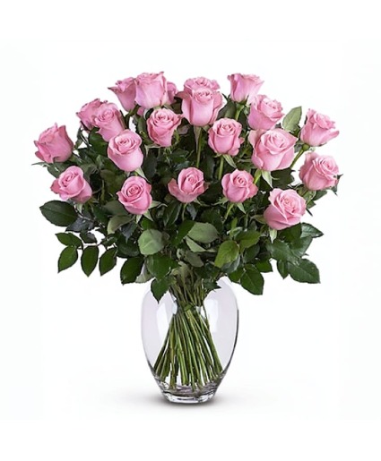  Pink Roses Roses