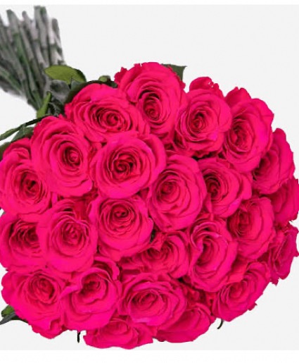 2 Dozen Pink Roses Wrapped  Wrapped hot pink roses 