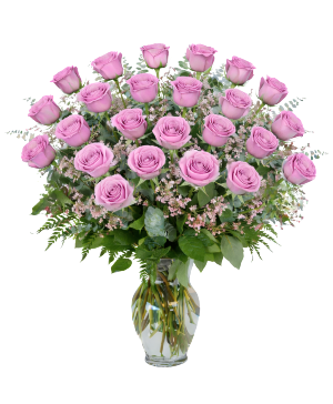 2 DOZEN PURPLE ROSES 