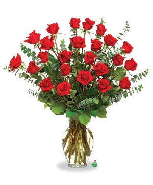 2 dozen Red Longs Red Roses