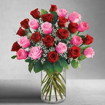 2 Dozen Red & Pink Long Stem Premium Roses  in Granger, IN | Yellow Rose Florist And Flower Basket