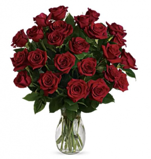 2 Dozen Red Roses Arrangement in San Bernardino, CA - INLAND
