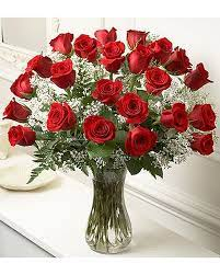 2 Dozen Red Roses  Roses