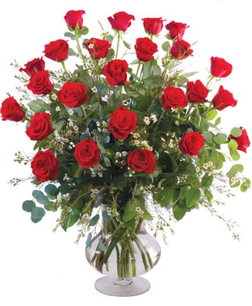 2 Dozen Red Roses Roses in Ocala, FL | Blue Creek Florist