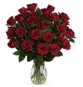 2 Dozen Roses Arrangement