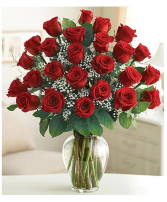 2 Dozen Roses in Vase Roses