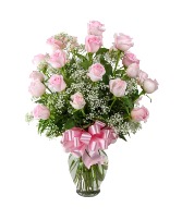 2 Dozen Roses Pink 