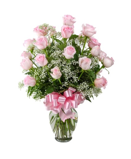 2 Dozen Roses Pink 