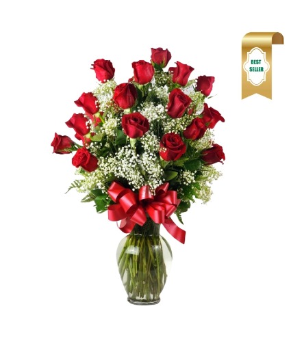 2 Dozen Roses Red 