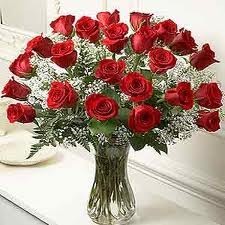 2 Dozen Roses Vased 