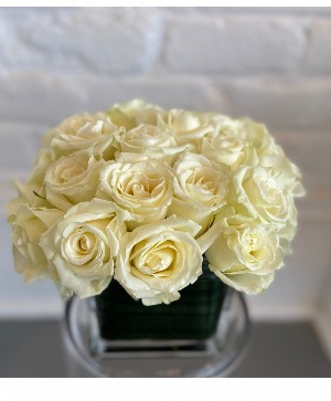 2 dozen white roses compact