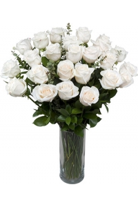 2 Dozen White Sympathy Roses 